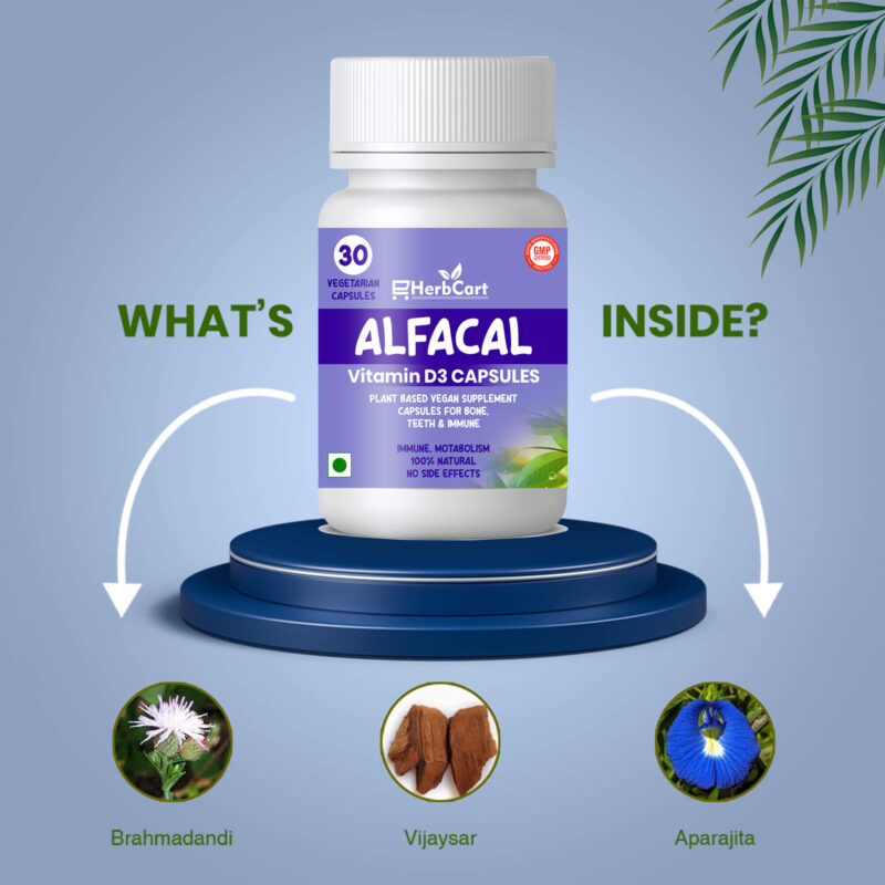 Alfacal-What-Is-Inside