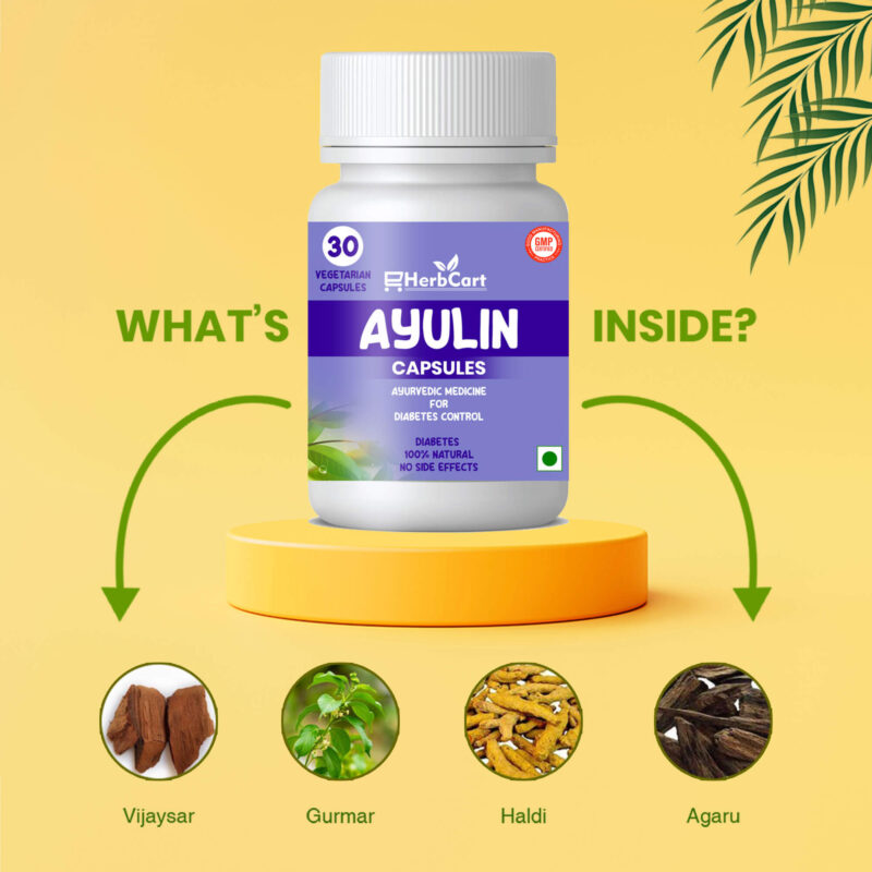 Ayulin-WHAT-IS-INSIDE