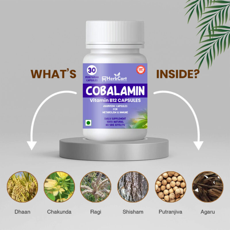Cobalamin-What-Is-Inside