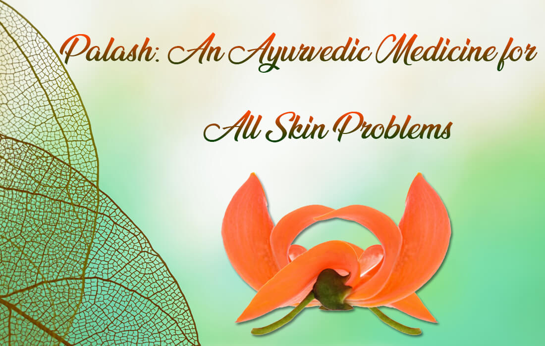 ayurvedic medicine for all skin problems