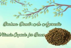 Brahma Dandi: An Ayurvedic Vitamin Capsule for Bones
