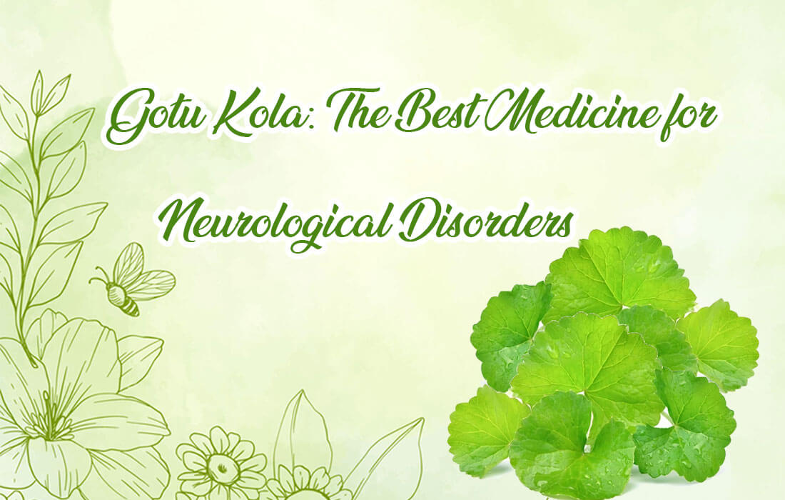 Best Medicine for Neurological Disorders